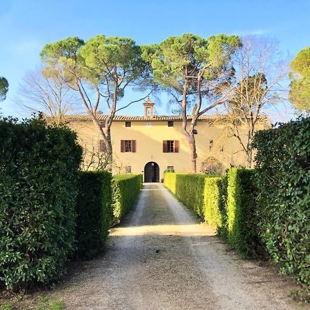 Villa Buonsignori - Wine & Olive Oil Farm Корсано Экстерьер фото