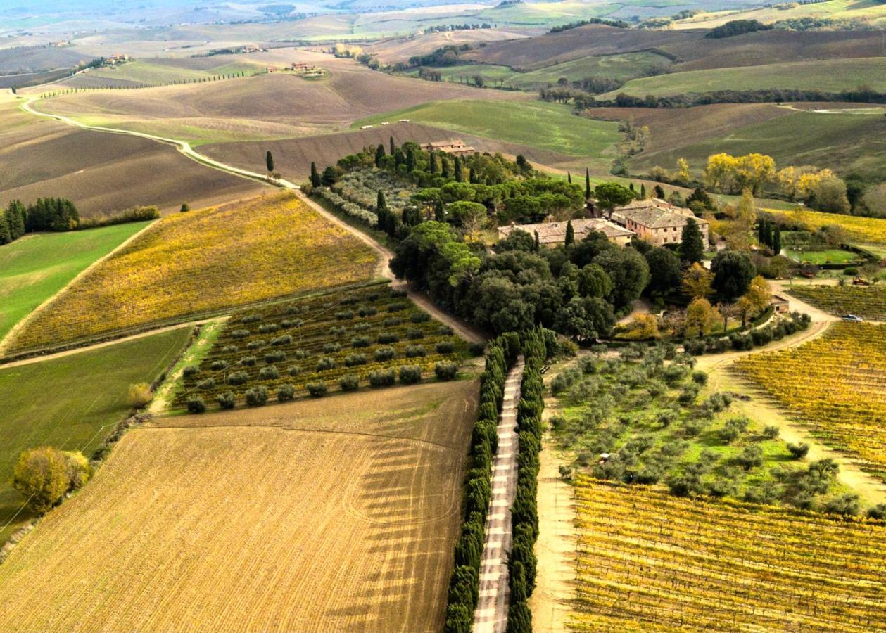 Villa Buonsignori - Wine & Olive Oil Farm Корсано Экстерьер фото