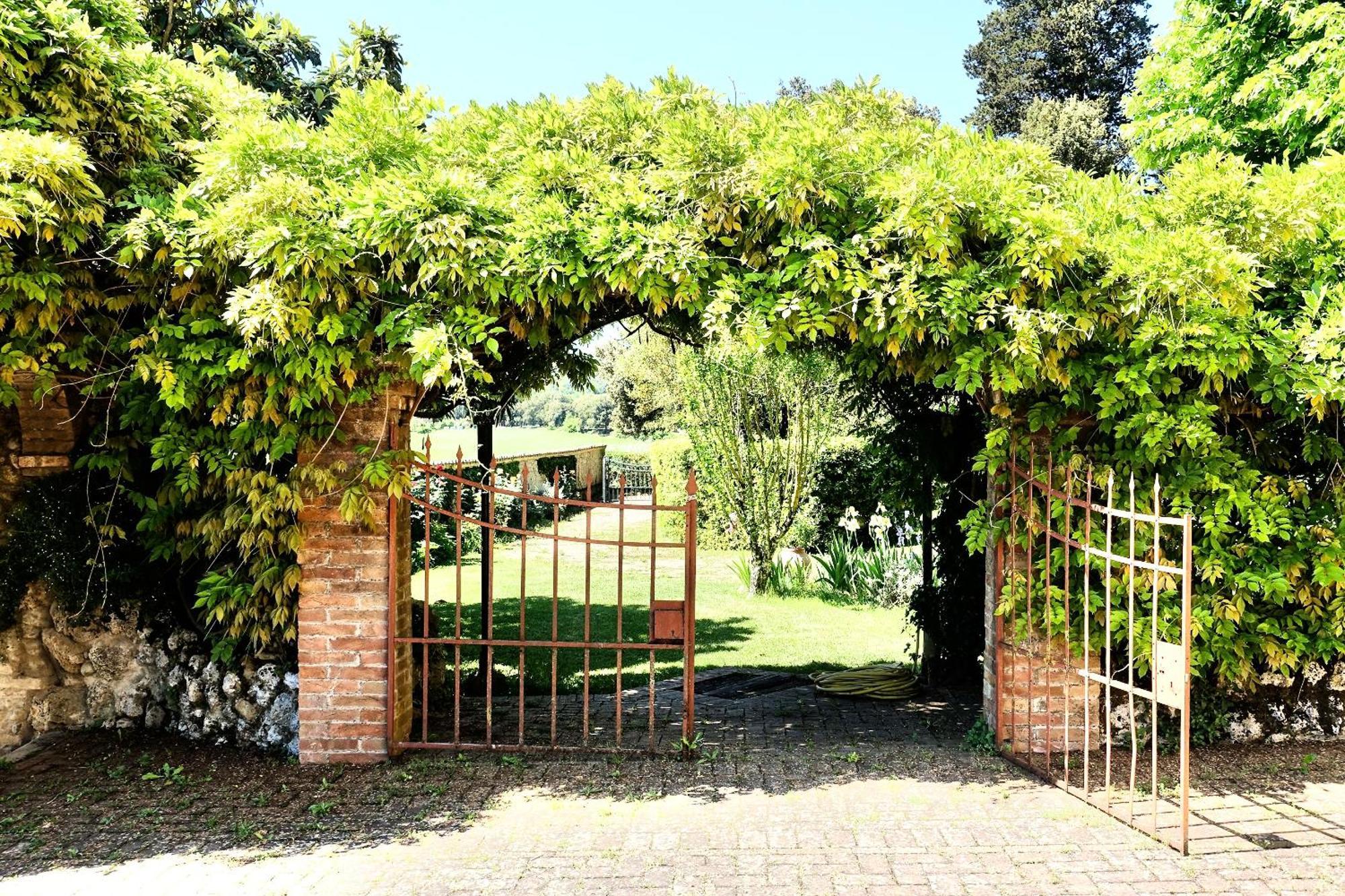 Villa Buonsignori - Wine & Olive Oil Farm Корсано Экстерьер фото